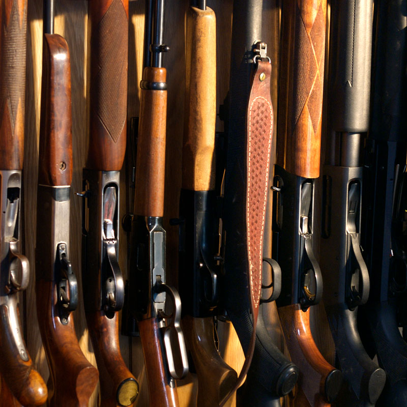 rifles and shotguns in cabinet
